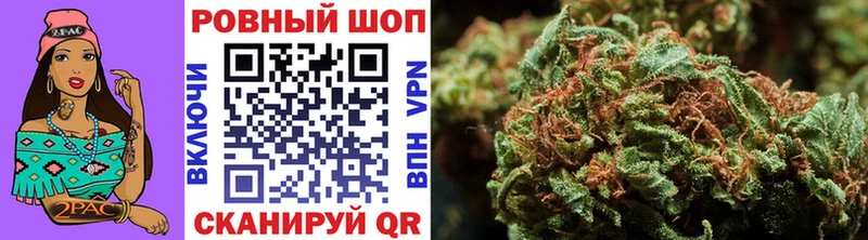 Где купить наркотики Петровск МЕГА ТОР  Амфетамин  Меф мяу мяу  A PVP  Марихуана 