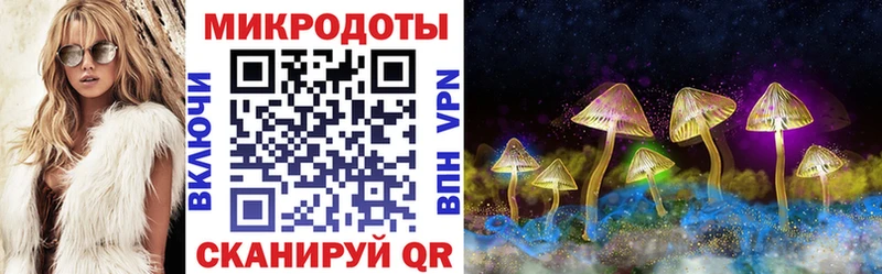 Галлюциногенные грибы MAGIC MUSHROOMS  Петровск 